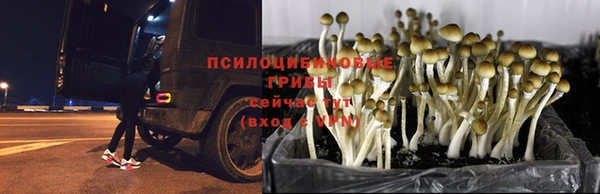мескалин Михайлов