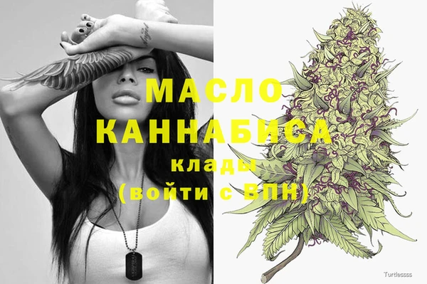 стафф Надым