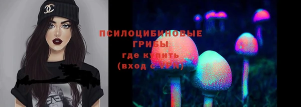 стафф Надым