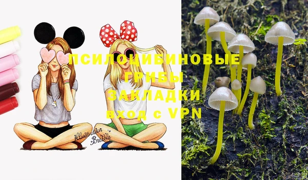 мескалин Михайлов