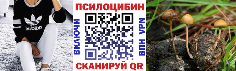 Купить  Байкальск  Псилоцибиновые грибы прущие грибы 